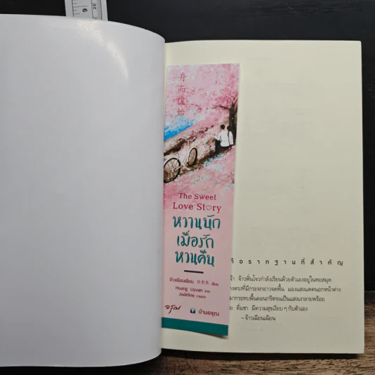 หวานนักเมื่อรักหวนคืน The Sweet Love Story - จ้าวเฉียนเฉียน รูปที่ 6