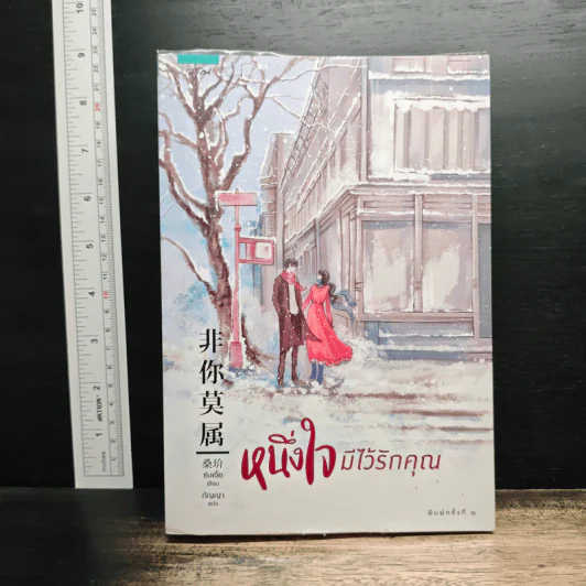 หนึ่งใจมีไว้รักคุณ - Sang Jie (ซังเจี้ย) รูปที่ 1