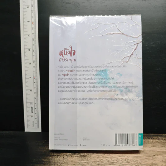 หนึ่งใจมีไว้รักคุณ - Sang Jie (ซังเจี้ย) รูปที่ 2