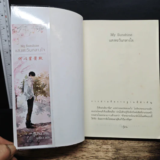 My Sunshine แสงตะวันกลางใจ - กู้ม่าน, เมธิรา รูปที่ 6