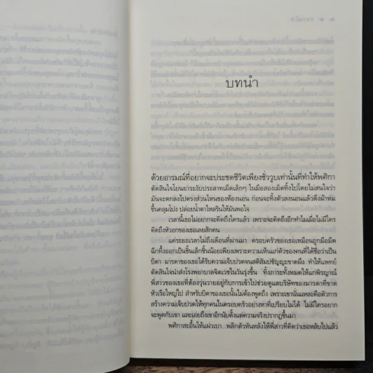 ทะเลไฟ - ณารา รูปที่ 7