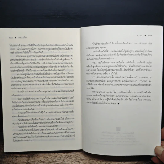 ทะเลไฟ - ณารา รูปที่ 9