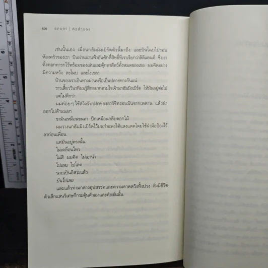 ตัวสำรอง Spare เจ้าชายแฮร์รี่ รูปที่ 9