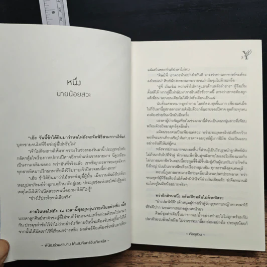 พี่น้องร่วมสาบาน ใต้แสงจันทร์อันเจิดจรัส - เจ้อกูฮวน รูปที่ 8
