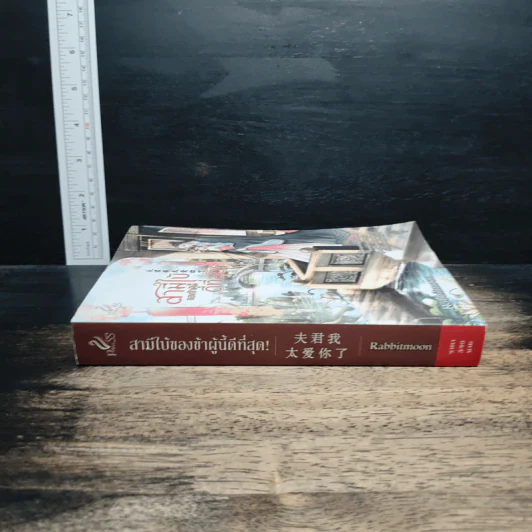 สามีใบ้ของข้าผู้นี้ดีที่สุด! - Rabbitmoon รูปที่ 3