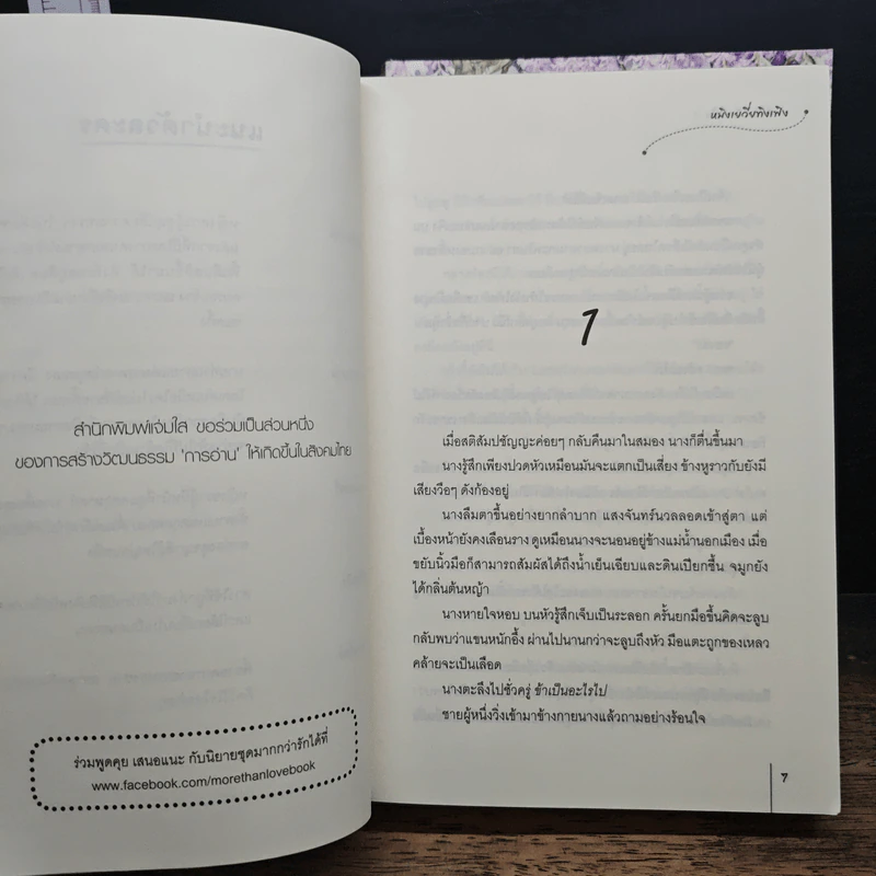 หงส์ฟ้อนมังกรเหินหงส์ฟ้อนมังกรเหินหงส์ฟ้อนมังกรเหินหงส์ฟ้อนมังกรเหิน - หมิงเยวี่ยทิงเฟิง รูปที่ 7