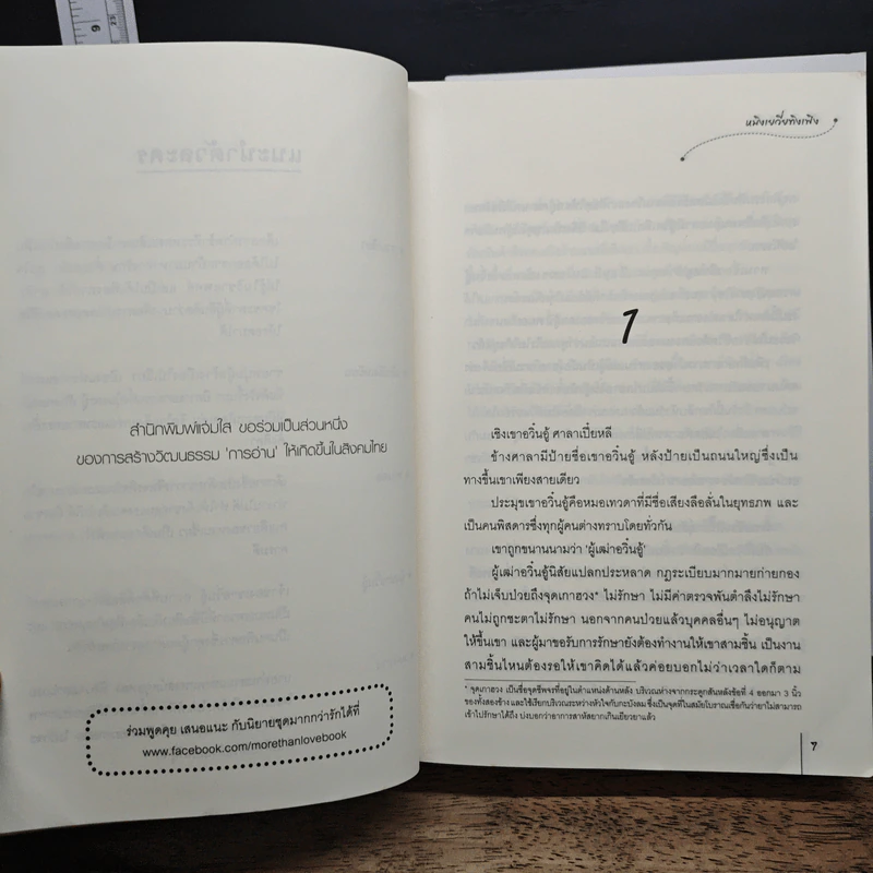 ศิลาหลอมรัก 2 เล่มจบ - หมิงเยวี่ยทิงเฟิง รูปที่ 7