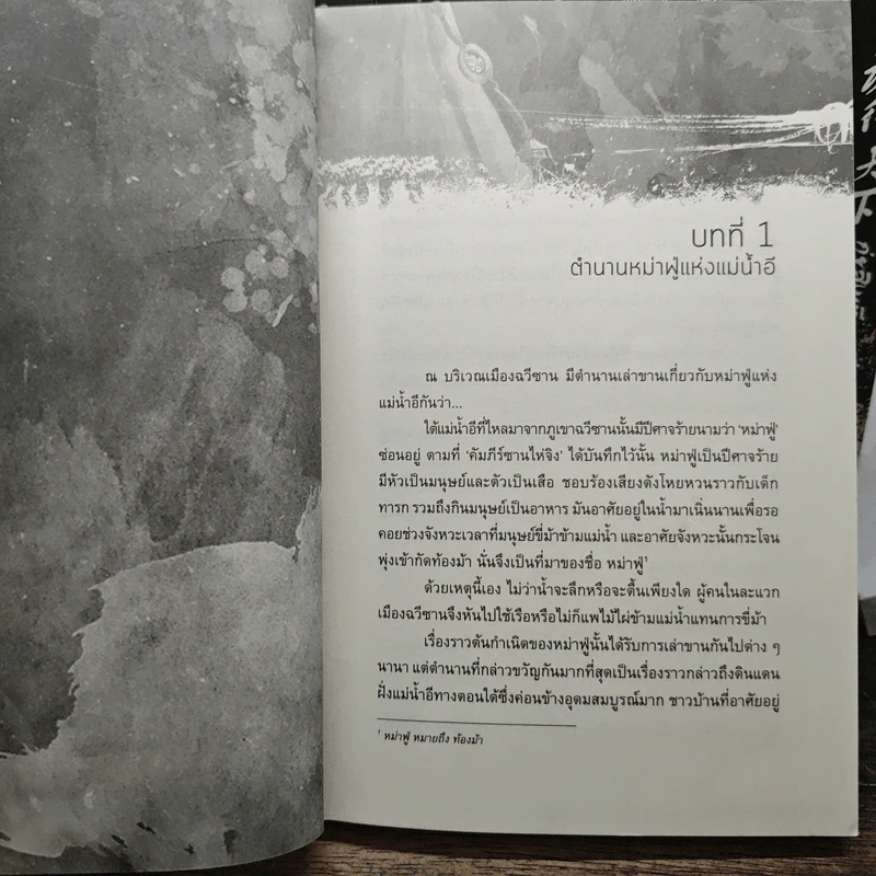 กุ่ยสิงเทียนเซี่ย 10 เล่มจบ - เอ่อร์หย่า, ชินชิน จอมยุทธ์หญิง รูปที่ 6