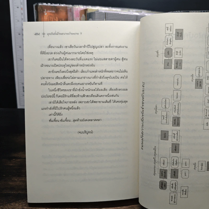 Boxset ดุจรักดั่งห้วงดาราพร่างพราย 7 เล่มจบ - กวนซินเจ๋อล่วน รูปที่ 13