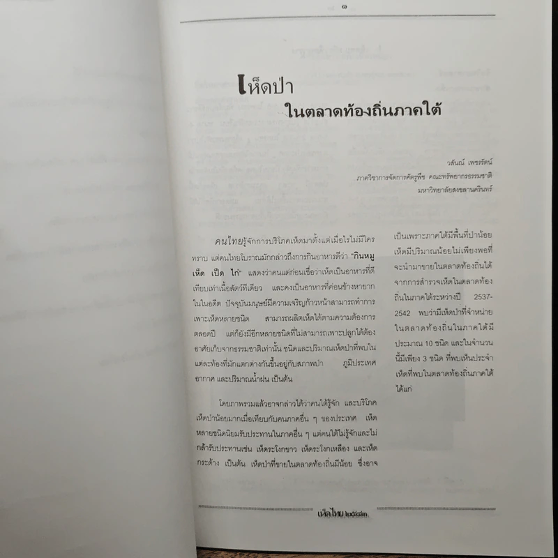 เห็ดไทย 2543 รูปที่ 8