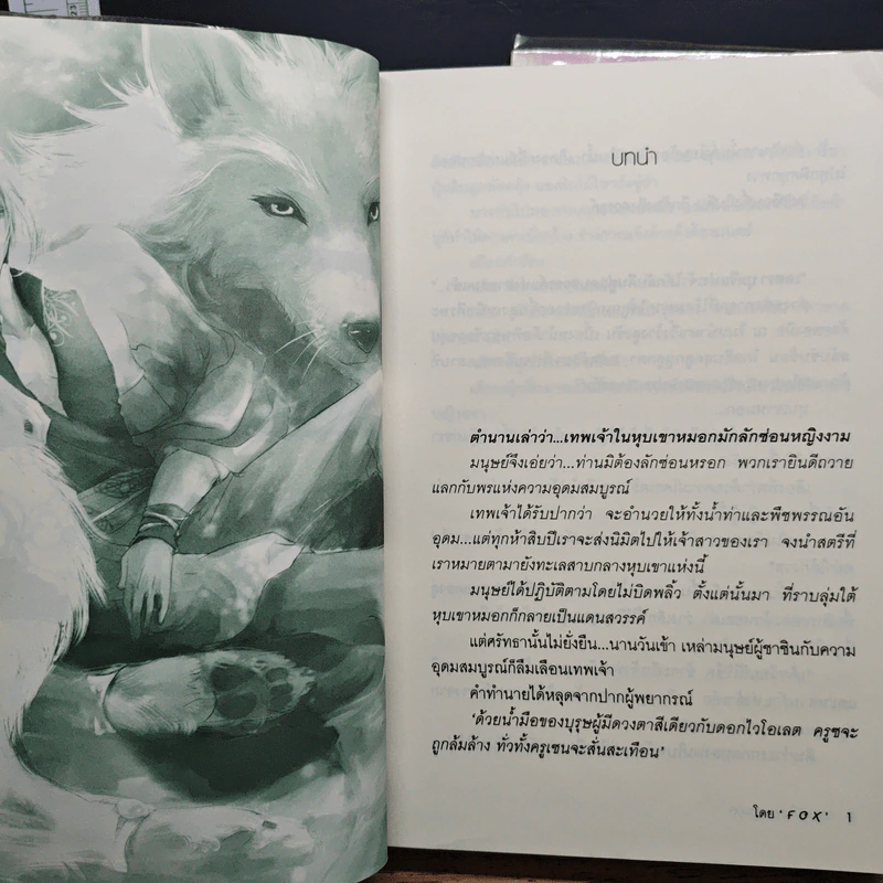 ความลับในหุบเขาหมอก 2 เล่มจบ - Fox รูปที่ 7