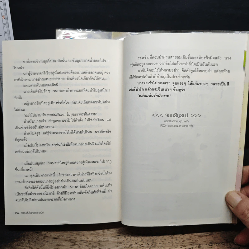 ความลับในหุบเขาหมอก 2 เล่มจบ - Fox รูปที่ 9