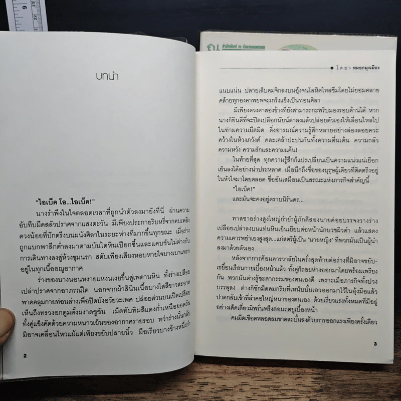 เหรียญนิรมิต 2 เล่มจบ - หมอกมุงเมือง รูปที่ 7