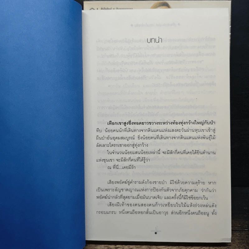 เพียงดาวนฤมิต 2 เล่มจบ - เจ้าสำราญ รูปที่ 7