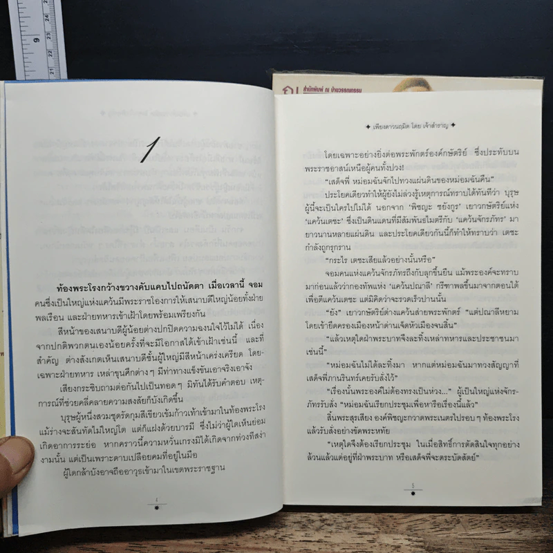 เพียงดาวนฤมิต 2 เล่มจบ - เจ้าสำราญ รูปที่ 8