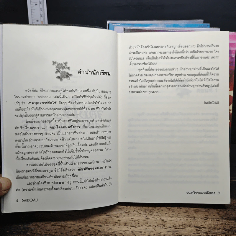 นิยายชุด เทพบุตรการ์รัสโซ่ 5 เล่มจบ - baiboau รูปที่ 6