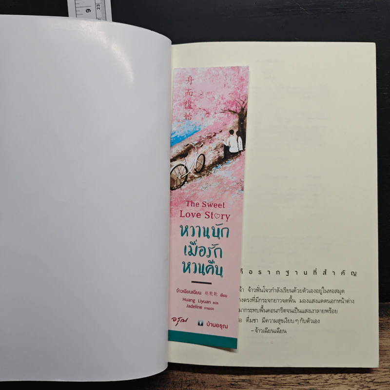 หวานนักเมื่อรักหวนคืน The Sweet Love Story - จ้าวเฉียนเฉียน รูปที่ 6