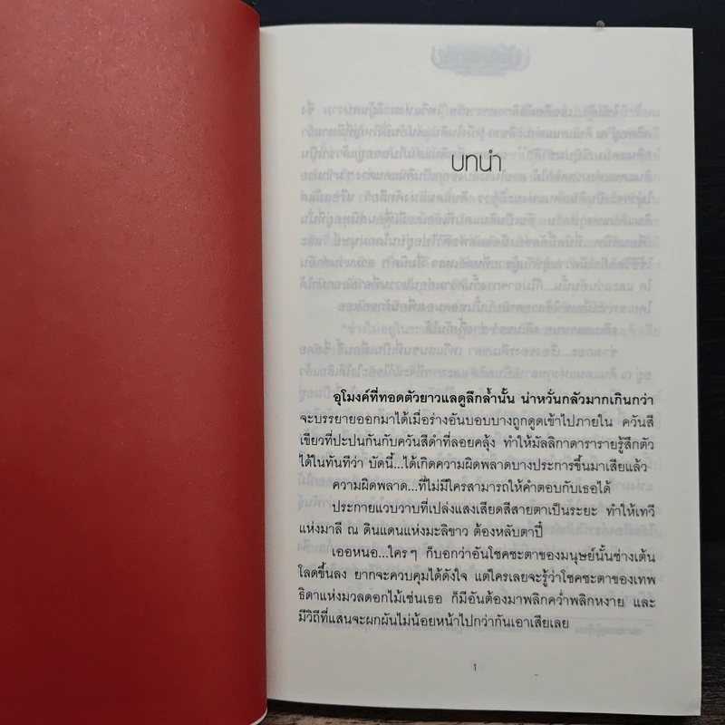 มัลลิกาดาราราย - ศิริวิมล รูปที่ 7
