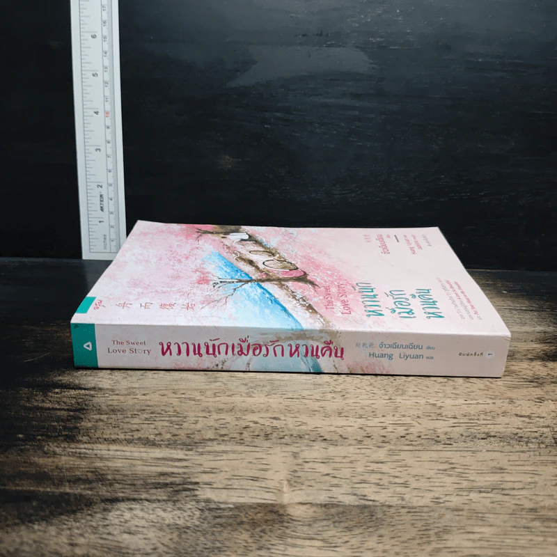 หวานนักเมื่อรักหวนคืน The Sweet Love Story - จ้าวเฉียนเฉียน รูปที่ 3