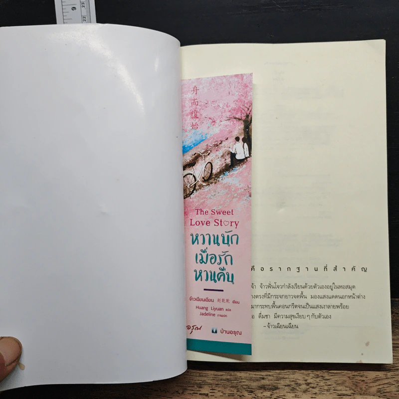 หวานนักเมื่อรักหวนคืน The Sweet Love Story - จ้าวเฉียนเฉียน รูปที่ 6