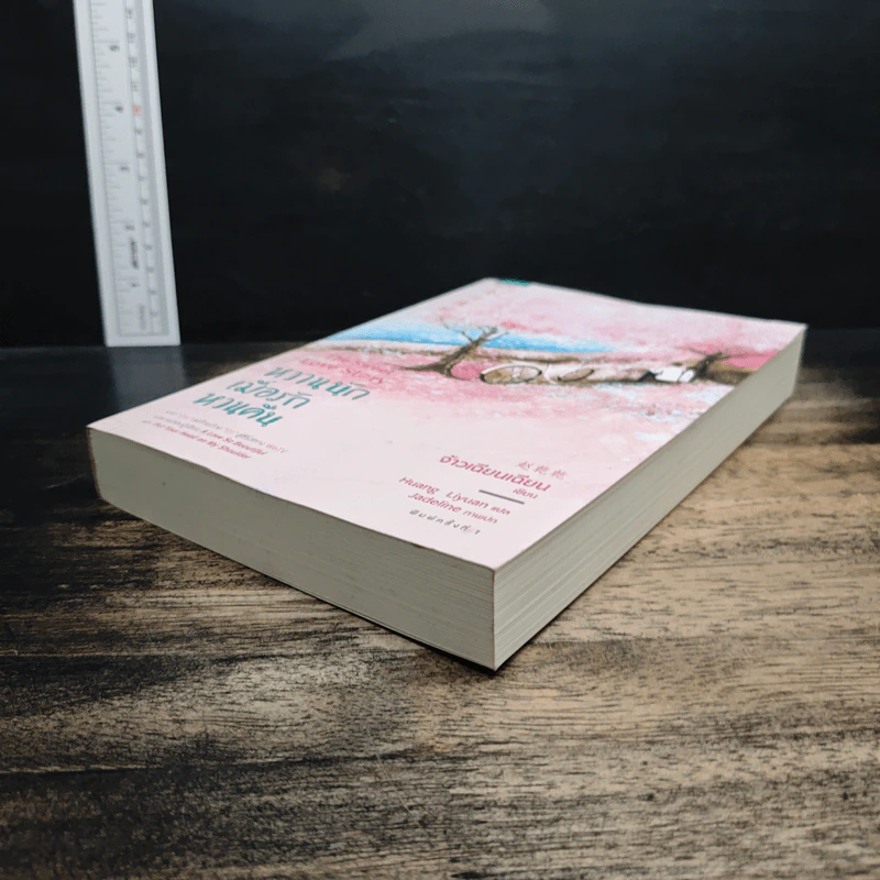 หวานนักเมื่อรักหวนคืน The Sweet Love Story - จ้าวเฉียนเฉียน รูปที่ 4