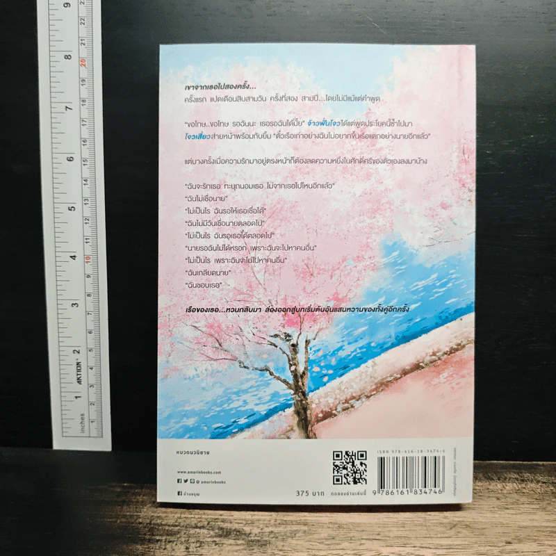 หวานนักเมื่อรักหวนคืน The Sweet Love Story - จ้าวเฉียนเฉียน รูปที่ 2
