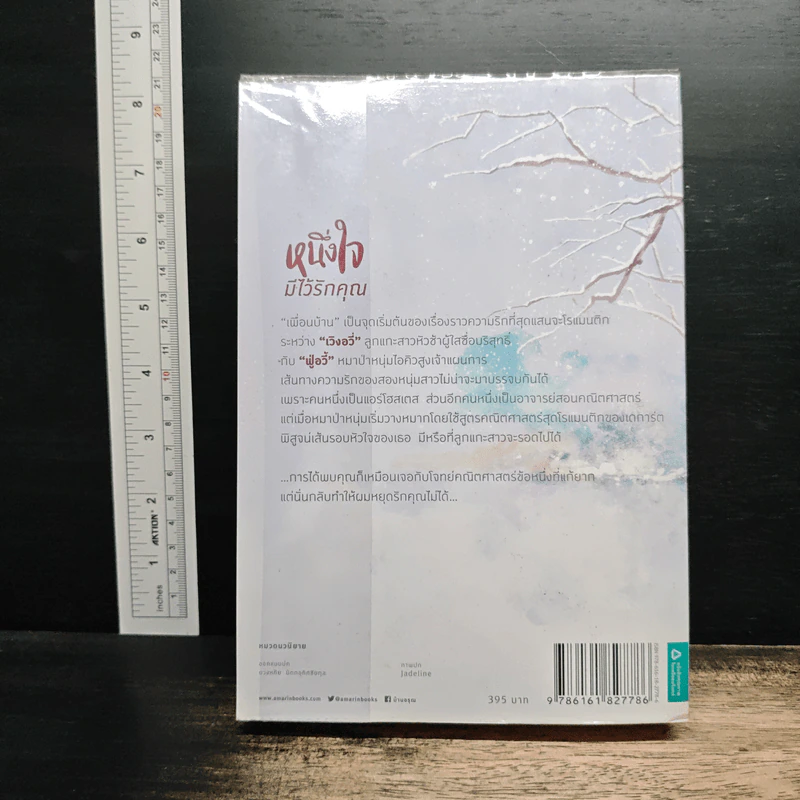 หนึ่งใจมีไว้รักคุณ - Sang Jie (ซังเจี้ย) รูปที่ 2