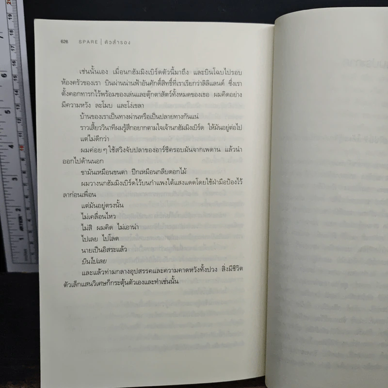ตัวสำรอง Spare เจ้าชายแฮร์รี่ รูปที่ 9