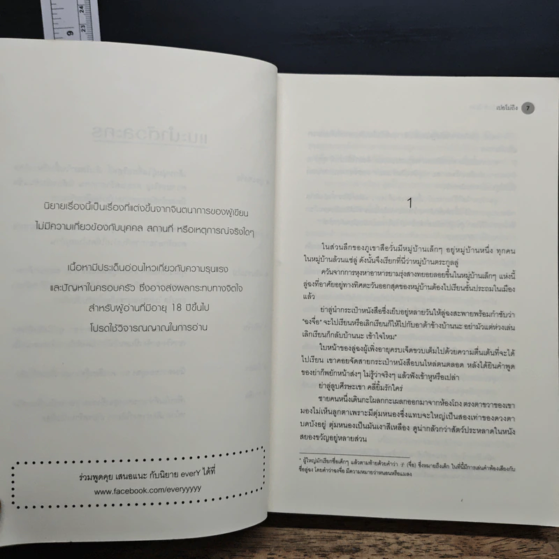 แสงตะวันในฟ้าสีเทา - เปยโม่ถิง รูปที่ 7