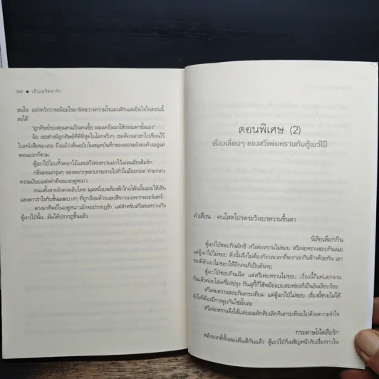 เจ้าแม่จัดหารัก - เจวี่ยนซี, อัญลี่ รูปที่ 8