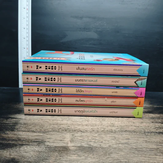 Boxset My Hero วีรบุรุษสุดที่รัก 5 เล่ม - มณีจันท์, หัสบรรณ รูปที่ 6