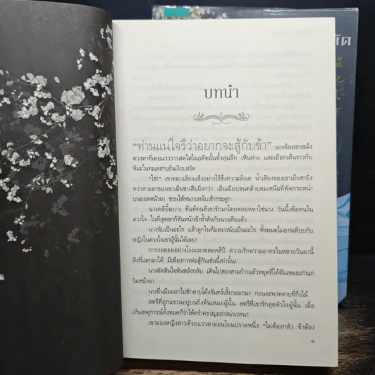 ยอดพธูโจรสลัด 2 เล่มจบ - เยวี่ยชูอวิ้น (Yue Chu Yun) รูปที่ 8
