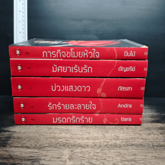 Boxset ความรู้สึกดีที่เรียกว่ารัก รัก...ร้าย 5 เล่ม รูปที่ 6