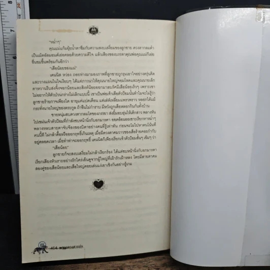 จันทราในพายุ+พายุกลางสายฝน - สลาลิน รูปที่ 8