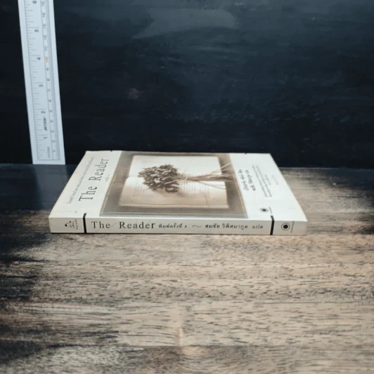 The Reader - เบิร์นฮาร์ด ชลิงค์ รูปที่ 3