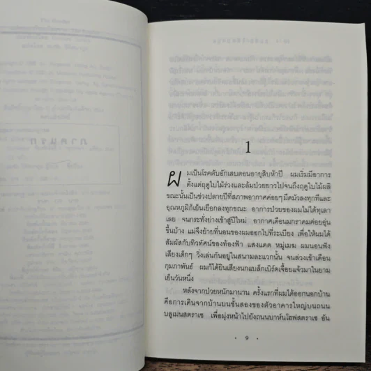 The Reader - เบิร์นฮาร์ด ชลิงค์ รูปที่ 7