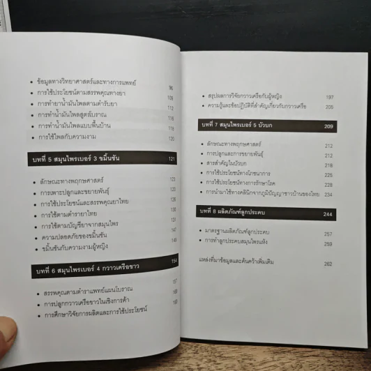 5 สุดยอดสมนไพรไทยตลาดโลกต้องการสูง รูปที่ 8