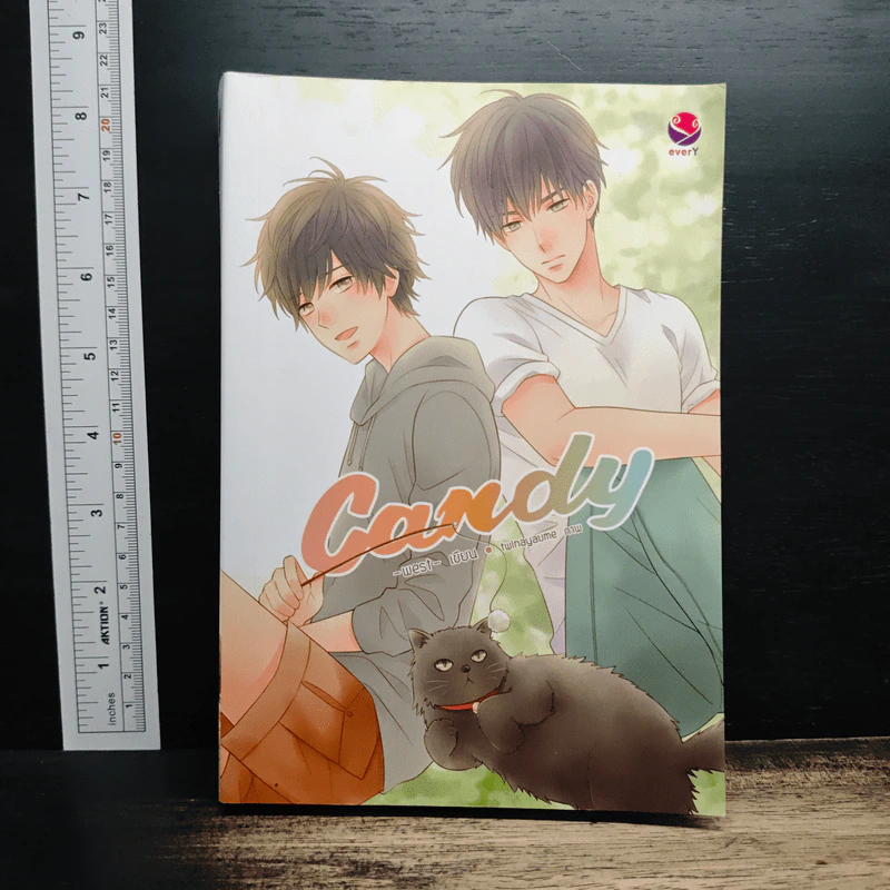 นิยายวาย Candy (everY) - west รูปที่ 1