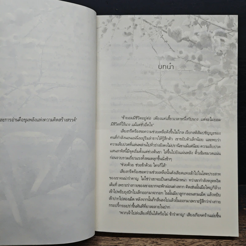 กับดักเสน่หา - นาย่า รูปที่ 8