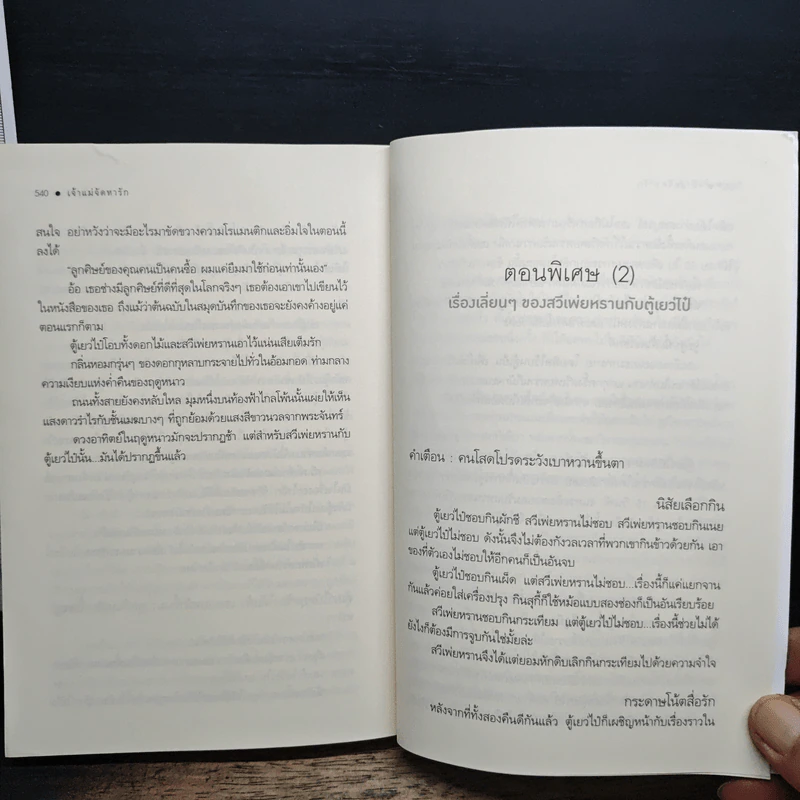 เจ้าแม่จัดหารัก - เจวี่ยนซี, อัญลี่ รูปที่ 8