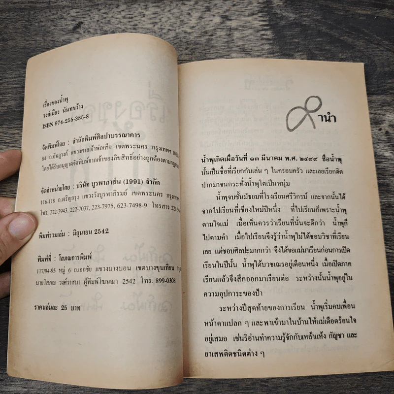 เรื่องของน้ำพุ - วงศ์เมือง นันทขว้าง รูปที่ 6
