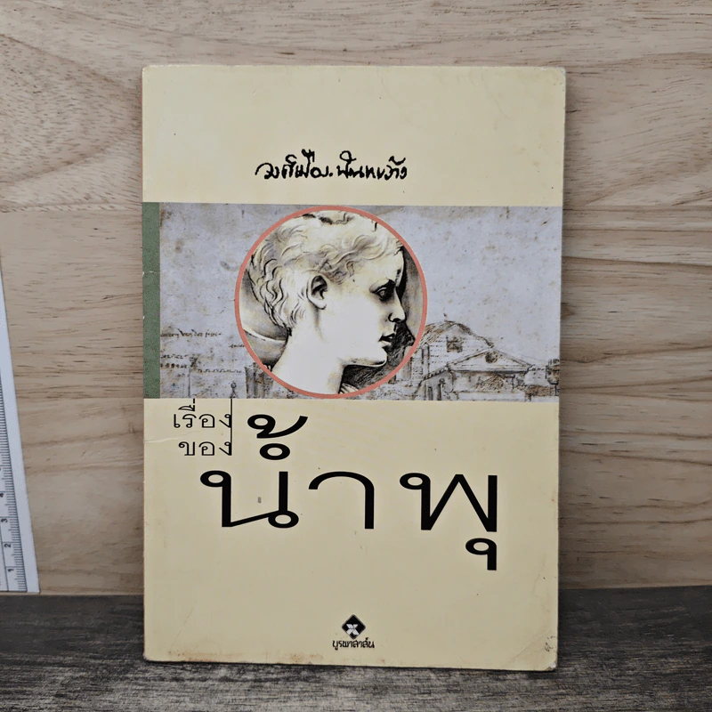 เรื่องของน้ำพุ - วงศ์เมือง นันทขว้าง รูปที่ 1