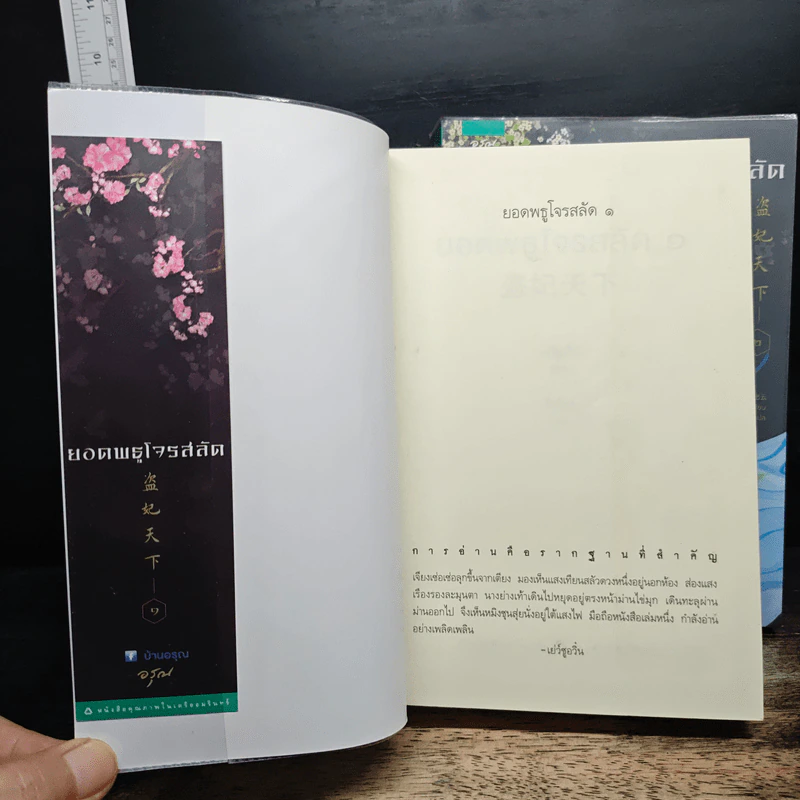 ยอดพธูโจรสลัด 2 เล่มจบ - เยวี่ยชูอวิ้น (Yue Chu Yun) รูปที่ 6