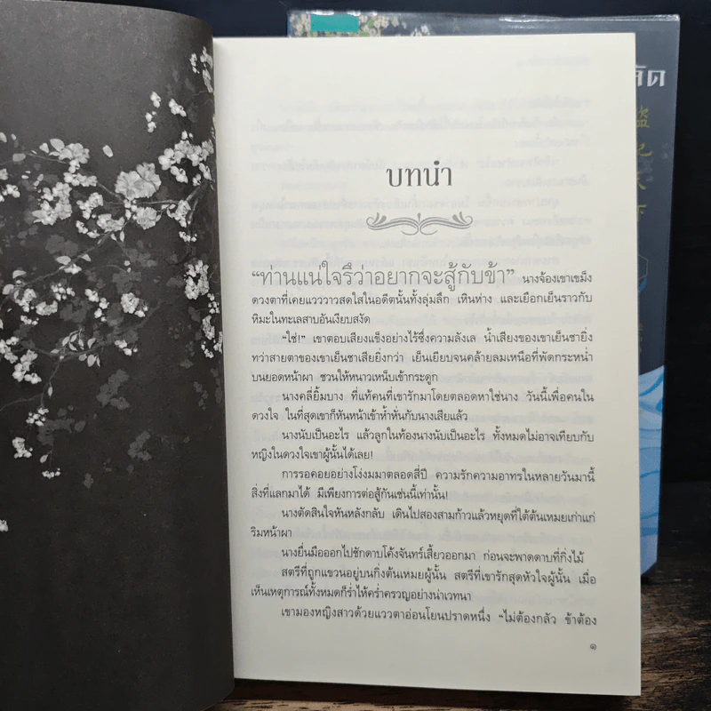 ยอดพธูโจรสลัด 2 เล่มจบ - เยวี่ยชูอวิ้น (Yue Chu Yun) รูปที่ 8