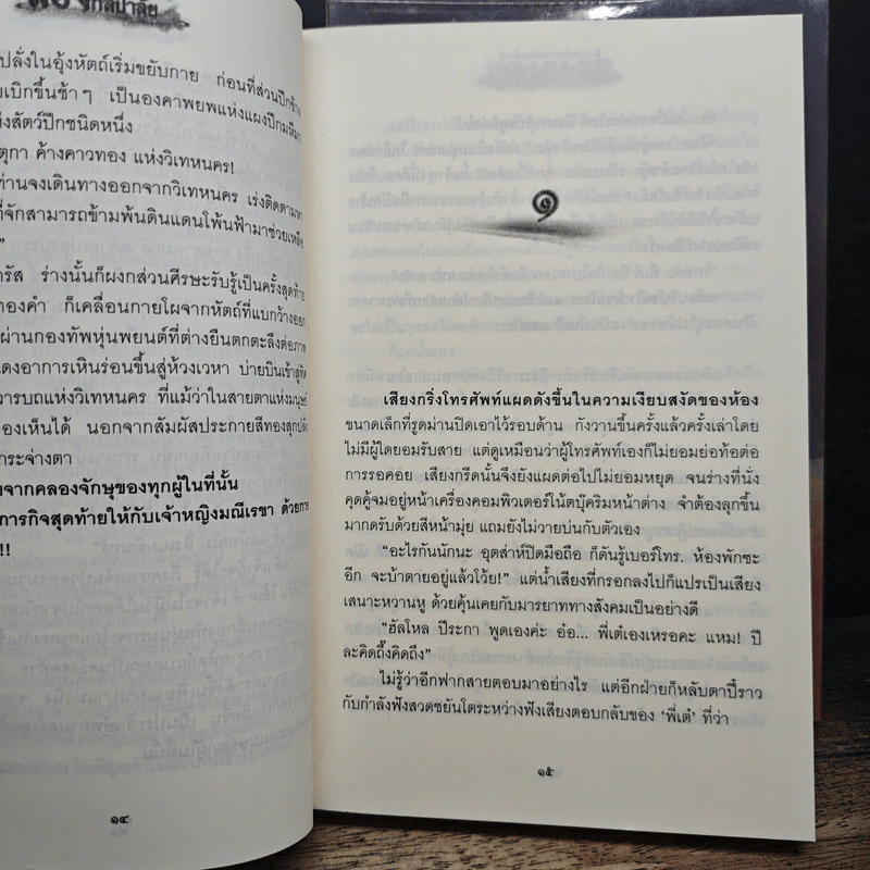 ล่องกัลปาลัย 2 เล่มจบ - หมอกมุงเมือง รูปที่ 8