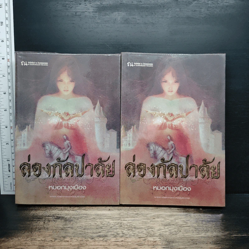 ล่องกัลปาลัย 2 เล่มจบ - หมอกมุงเมือง รูปที่ 1