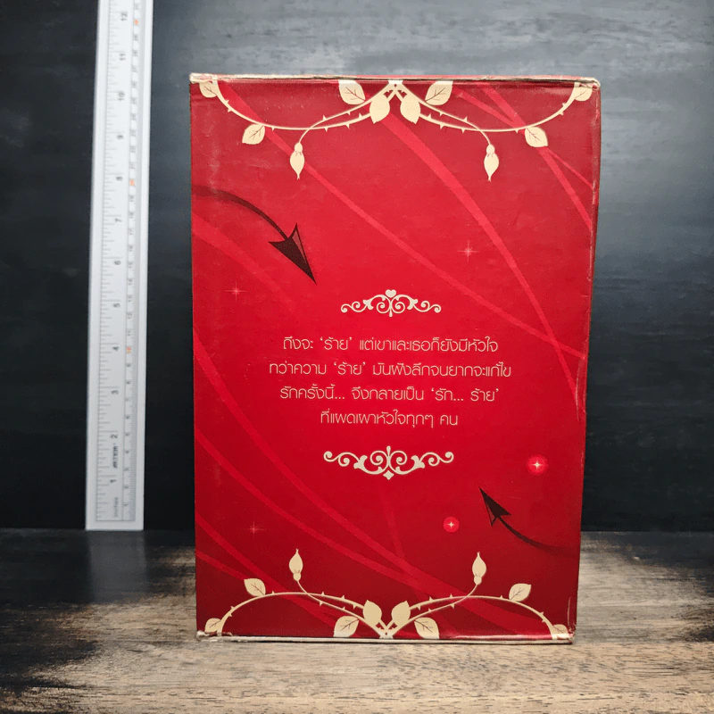 Boxset ความรู้สึกดีที่เรียกว่ารัก รัก...ร้าย 5 เล่ม รูปที่ 2