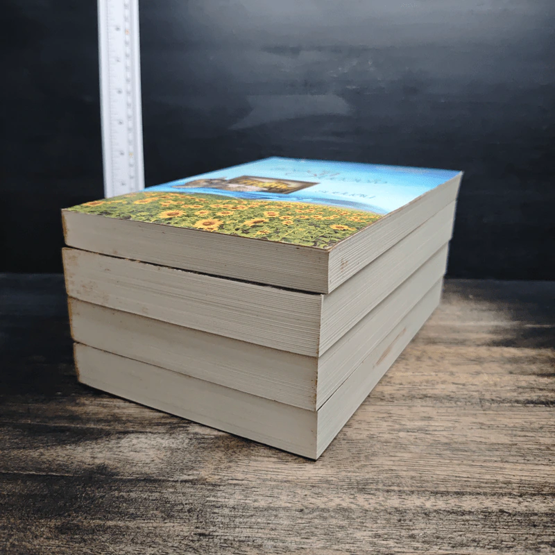 Boxset นวนิยายชุด แผ่นดินแห่งรัก 4 เล่ม รอยรักในดวงใจ, เพรงรักรอยฝัน, ในร่มเงารัก, ดั่งต้องมนตร์รัก รูปที่ 7