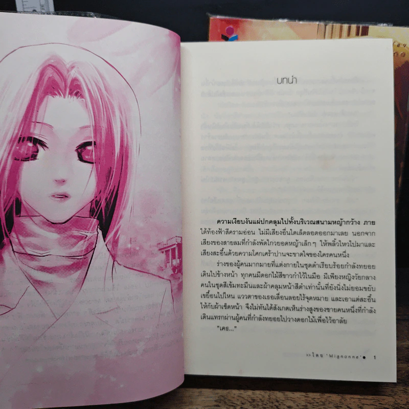 ปาฏิหาริย์หัวใจนายจอมยุ่ง 2 เล่มจบ - Mignonne รูปที่ 7