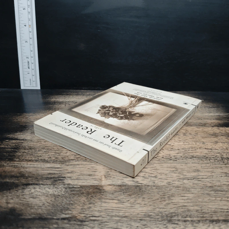 The Reader - เบิร์นฮาร์ด ชลิงค์ รูปที่ 5